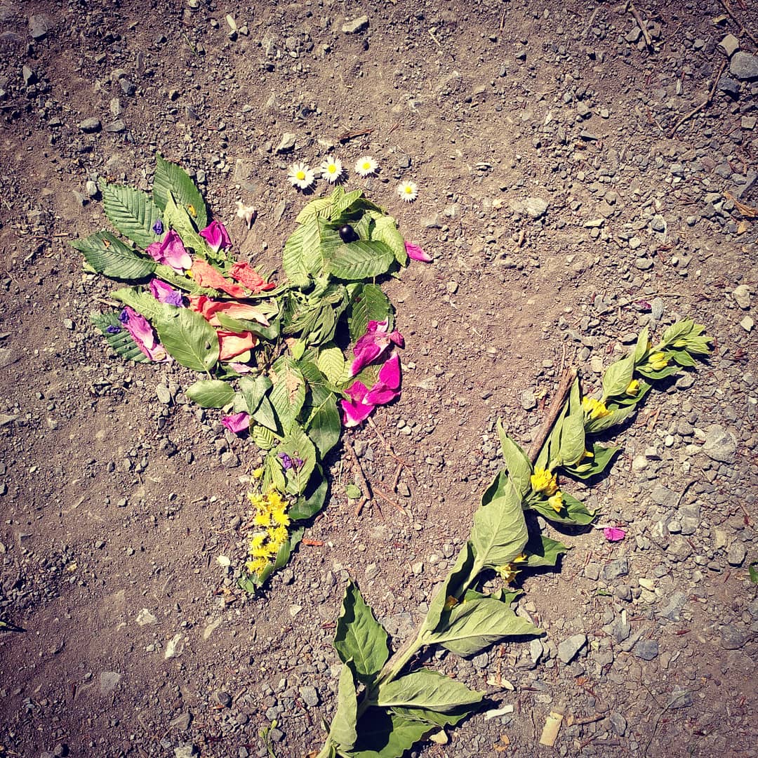 1ère image Landart